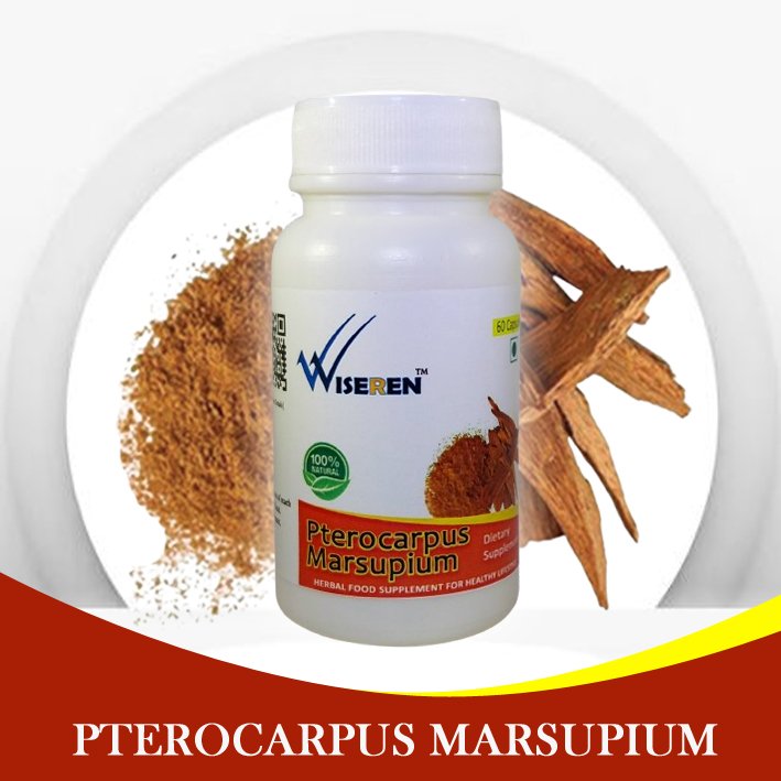 product_image_Pterocarpus Marsupium